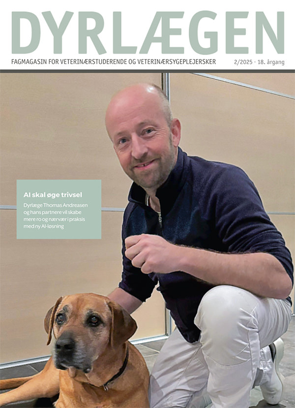 Magazine Cover